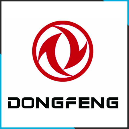 Picture for category Dong feng