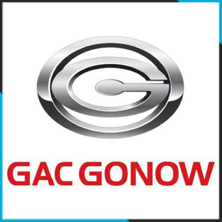 Picture for category Gac gonow
